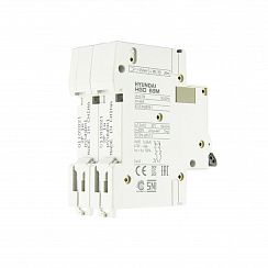 Автоматический выключатель HGD63-M 2PMCS0000C C 2P 1А 6kA (STANDARD)