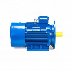 Электродвигатель 5АИ 200 L6 30/1000 IM2001