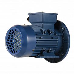 Эл.двигатель 5АИ 90 L2 3/3000 IM 2081