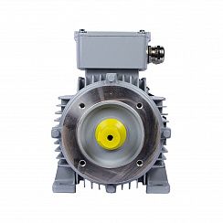 Эл.двигатель ESQ PR 100 LA4-SDN-Б1-S12-IE2 2.2/1500 IM B34