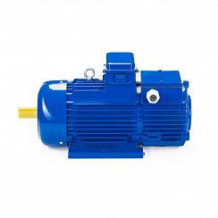 Электродвигатель 5МТН 412-6 30/1000 IM1003