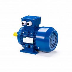 Электродвигатель ESQ 80 A2-SDN- 0,75/3000 IMB3