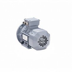 Электродвигатель ESQ PR 80 А2-SDN-Б1-S12-IE2 0,75/3000 IMB35