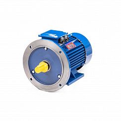 Эл.двигатель 5АИ 100 L4 4/1500 IM 2081