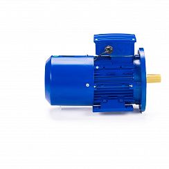 Эл.двигатель 5АИ 71 А4 ED 0.55/1500  IM 2081