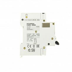 Автоматический выключатель HGD63-M 2PMCS0000C C 2P 63А 6kA (STANDARD)