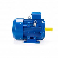 Эл.двигатель ESQ 100 LB2-SDN- 4/3000 IM B3