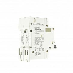 Автоматический выключатель HGD63-M 2PMDS0000C D 2P 2А 6kA (STANDARD)