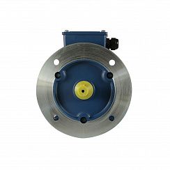 Эл.двигатель 5АИ 90 L2 FT115 3/3000 IM 2181