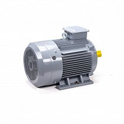 Электродвигатель ESQ PR 180 M6 GST-Б1-S12-IE2 18,5/1000 IM1001
