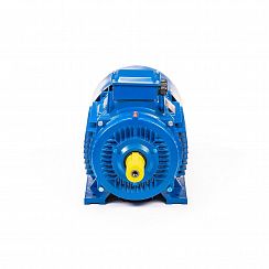 Электродвигатель 5АИ 225 М4 55/1500 IM1001