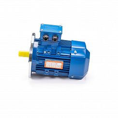 Эл.двигатель 5АИ 90 L2 3/3000 IM 3081