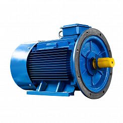 Эл.двигатель 5АИ 355 S4 250/1500 IM 2001