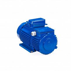 Электродвигатель 5МТН 280 S10 45/600 IM1003