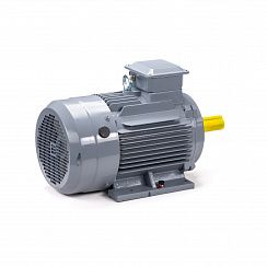 Электродвигатель ESQ PR 112 MВ6 GST-Б1-S12-IE2 4/1000 IM1081