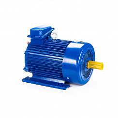 Электродвигатель 5МТКН 312-6 15/1000 IM1001