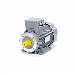 Эл.двигатель ESQ PR 90 S4-SDN-Б1-S12-IE2 1.1/1500 IM B34