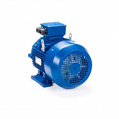 Эл.двигатель ESQ 100 LB2-SDN- 4/3000 IM B3