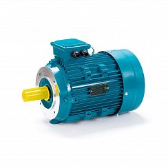 Электродвигатель ESQ 132 SA2-SDN-DS 5,5/3000 IMB14