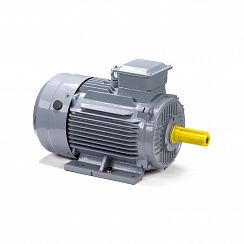 Электродвигатель ESQ PR 160 S6 GST-Б1-S12-IE2 11/1000 IM1001