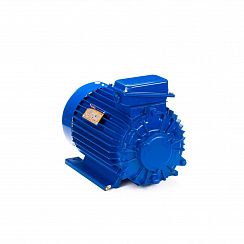 Электродвигатель 5MTKH 132 LA6 5,5/1000 IM1001