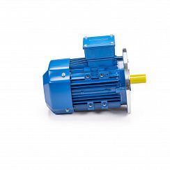 Эл.двигатель 5АИ 90 L4 2.2/1500 IM 3081