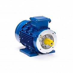 Электродвигатель ESQ 90 S8-SDN- 0,37/750 IMB34