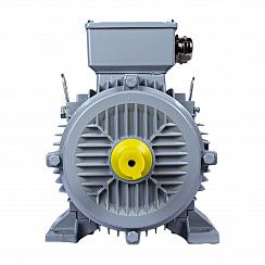 Электродвигатель ESQ PR 160 MA2-SDN-Б1-S12-IE3 11/3000 IMB3