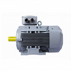 Электродвигатель ESQ PR 100 LA2-SDN-Б1-S12-IE3 3/3000 IMB3