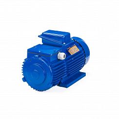 Электродвигатель 5МТН 412-6 30/1000 IM1003