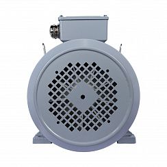 Электродвигатель ESQ PR 160 L2-SDN-Б1-S12-IE2 18,5/3000 IMB3