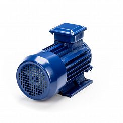 Эл.двигатель 5АИ 90 L2 3/3000 IM 1081