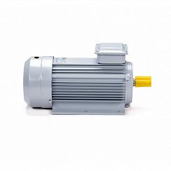 Электродвигатель ESQ PR 80 А2 GST-Б1-S12-IE2 1,5/3000 IM1081