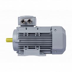 Эл.двигатель ESQ PR 100 LA4-SDN-Б1-S12-IE2 2.2/1500 IM B34