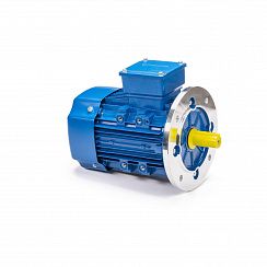 Эл.двигатель 5АИ 90 L2 3/3000 IM 3081