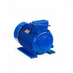 Электродвигатель 5МТКН 225 L8 37/750 IM1003