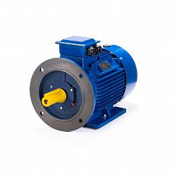 Эл.двигатель ESQ 100 LB2-SDN- 4/3000 IM B35