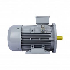 Электродвигатель ESQ PR 100 LA2-SDN-Б1-S12-IE3 3/3000 IMB35