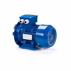 Эл.двигатель ESQ 90 L8-SDN 0.55/750 IM B35