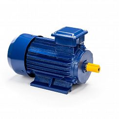 Эл.двигатель 5АИ 90 L2 3/3000 IM 1081