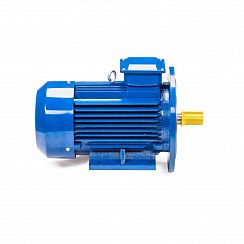 Эл.двигатель 5АИ 100 L4 4/1500 IM 2081