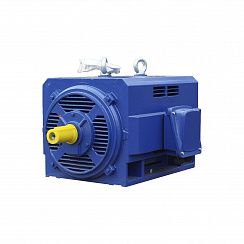 Эл.двигатель 5АИН 280 МВ4 250/1500  IM 1001