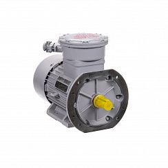 Электродвигатель АИМУР 132 S6 У2,5 380/660В, класс изоляции Н, РВExdI Mb, 5,5/1000 IM2081