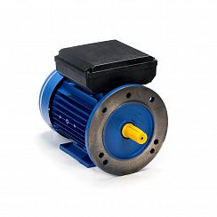 Эл.двигатель 5АИЕ2 90 L2 3/3000  IM 2081