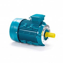 Электродвигатель ESQ 112 MA2-SDN-DS 4/3000 IMB14