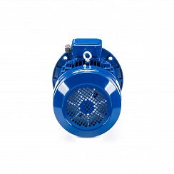 Электродвигатель ESQ 132 S4-SDN- 5,5/1500 IMB5