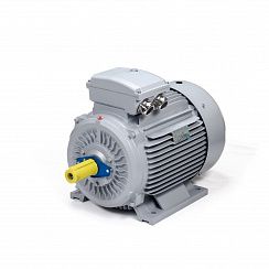 Электродвигатель ESQ PR 180 L4-SDN-Б1-S12-IE2 22/1500 IMB3