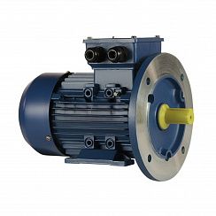 Эл.двигатель 5АИ 90 L2 FT115 3/3000 IM 2181