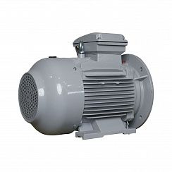 Электродвигатель ESQ PR 160 L2-SDN-Б1-S12-IE3 18,5/3000 IMB35