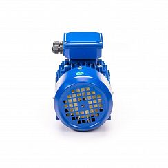 Эл.двигатель 5АИ 80 А8 FT100 0.37/750 IM 2181